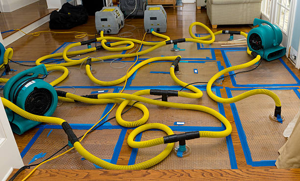 Professional Burst Pipe Water Damage technician working in Phillipsburg, GA